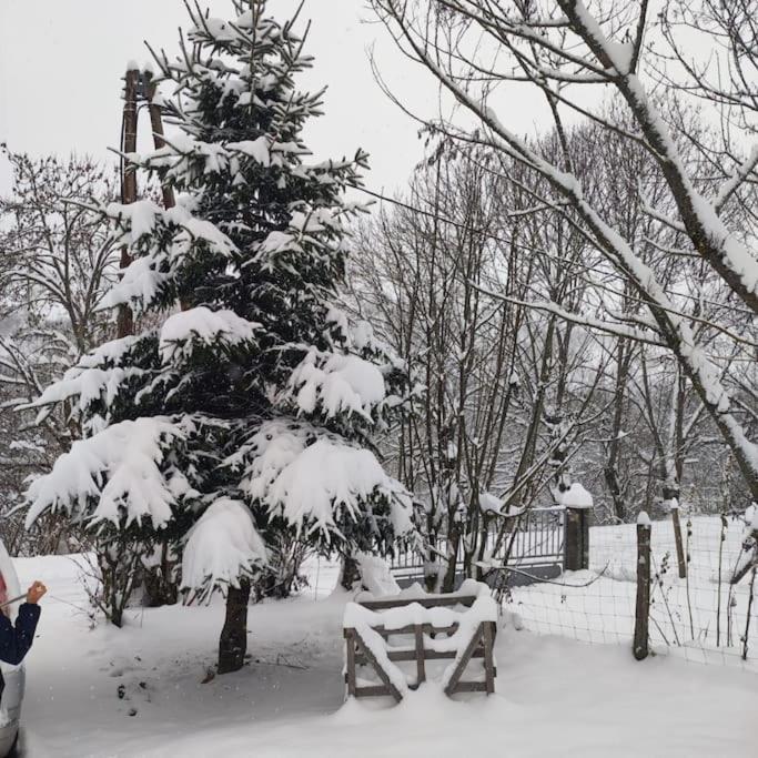 Maison De Montagne Au Calme Avec Cheminee Poubeau Esterno foto